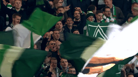 bundesliga fans GIF by SV Werder Bremen