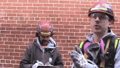 Maxi Zfr GIF