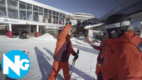 Ski Snowboarding GIF by skinewgen