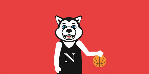 college basketball nuexperience GIF by Northeastern University