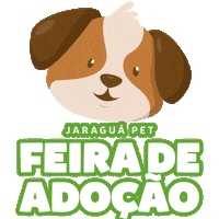 Girassol Cinematerna Sticker by Shopping Jaraguá Araraquara