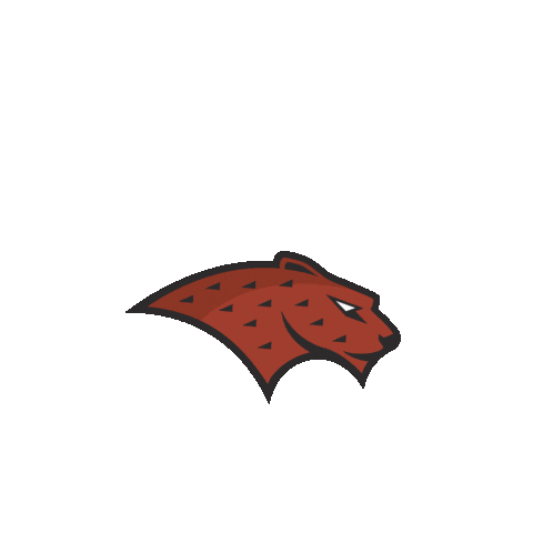 Ausharjah Sticker by American University of Sharjah