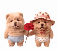 犬 GIF