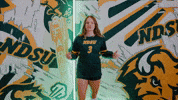 Volleyball Bison GIF by NDSU Athletics