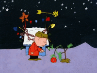 charlie brown GIF by Peanuts
