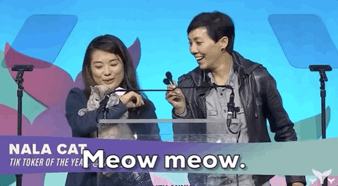 GIF by Shorty Awards