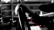 austin dillon GIF by NASCAR