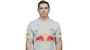 Football Thumbs Up Sticker by FC Red Bull Salzburg