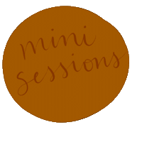 Photographer Minis Sticker