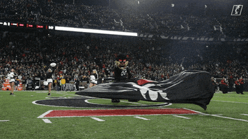 College Sports Sport GIF by Cincinnati Bearcats