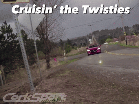 Riding Driving GIF by CorkSport Performance