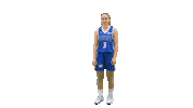Sport Basketball Sticker by Basket_fi