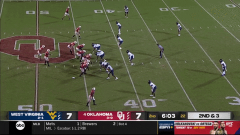 Digono giphygifmaker rattlerballsecurity GIF