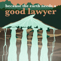 Climate Change Earth GIF by Earthjustice