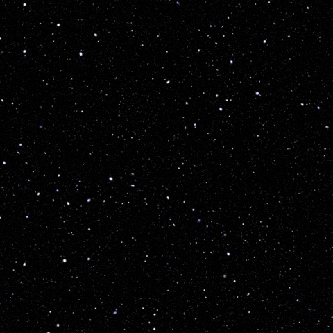 New Year Wishes GIF by Maria Johnsen