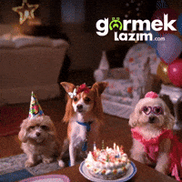 Excited Happy Birthday GIF by Görmek Lazım