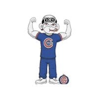 Windy City Chicago Sticker by Zhot