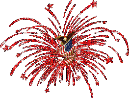 4th of july fireworks STICKER