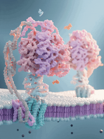 tomvh__ protein biology atp adp GIF
