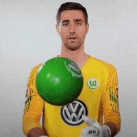 World Cup Football GIF by VfL Wolfsburg