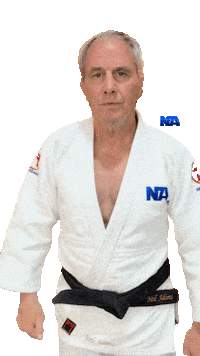 Martial Arts Good Job Sticker by NA Effective Fighting