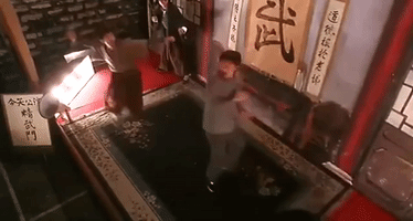 kung fu GIF
