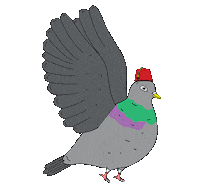 bird pigeon Sticker by Emo Nite