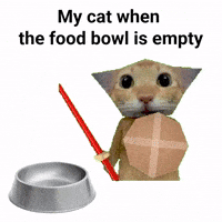 Davinjho cat meme skeleton sword GIF
