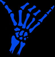 Marshlands bjj shaka zwolle brazilian jiu jitsu GIF