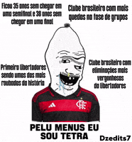 Futebol Libertadores GIF