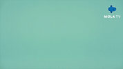 Animation Reaction GIF by Mola TV Kids