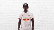 Rb Leipzig Football GIF by Bundesliga