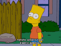 talking bart simpson GIF