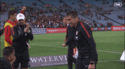 western sydney wanderers celebration GIF by wswanderersfc