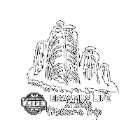 Trip Athens Sticker by Internationallifeathens