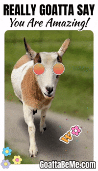 You Rock The Best GIF by Goatta Be Me Goats! Adventures of Java, Toffee, Pumpkin and Cookie!