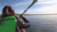 Whale Lifts Kayakers Onto Its Back