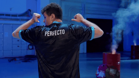 Counter Strike Cs GIF by BLAST