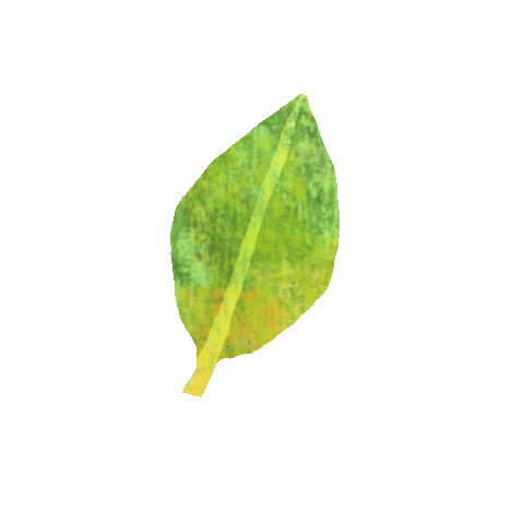 Green Leaf Plant Sticker