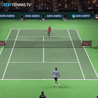 smash slam dunk GIF by Tennis TV