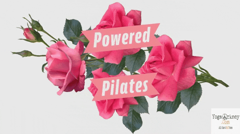adelelidderdale giphygifmaker pilates powered by pilates yogaorkney GIF