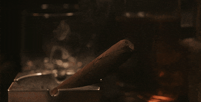 christiaanwelzel smoke cinemagraph cigar 1932 GIF