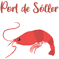 Mallorca Malle Sticker by 180gradsalon