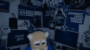 Cosmo Go Cougs GIF by BYU Cougars