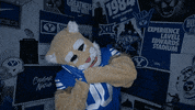 Wake Up Cosmo GIF by BYU Cougars