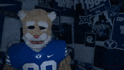 Cosmo Go Cougs GIF by BYU Cougars