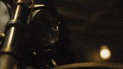 Ride GIF by Harley-Davidson