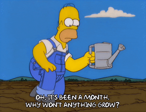 homer simpson questioning GIF