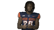 No Money Sticker by Carson-Newman Athletics