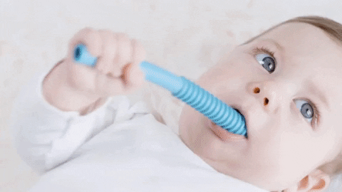 TheCuddlyOneStore giphyupload GIF